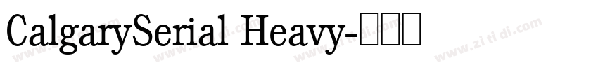 CalgarySerial Heavy字体转换